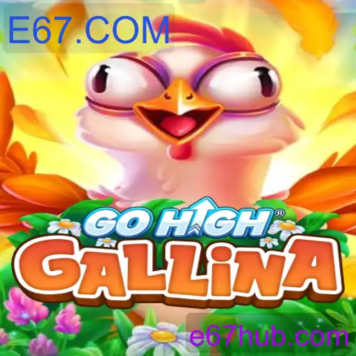 GoHighGallina